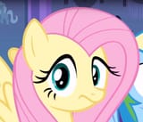 fluttershy bruh what