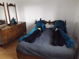 DSCF5270