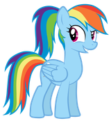 Dash Ponytail