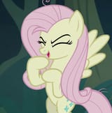 flutterheh