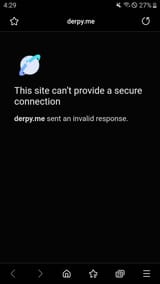 Screenshot_20250612-162934_Samsung Internet