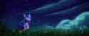 sunny_izzy_night_2_thumb.jpg