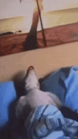 dog-snoring