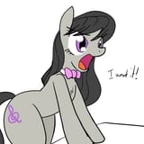 252497