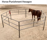 horse punishment hexagon