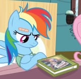 dash regards the literature with contempt
