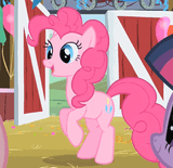cute enthusiasm horsie