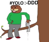 yolo