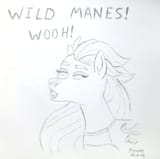wild manes woo