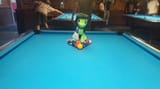 pool filly