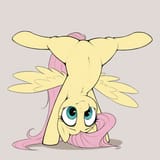 fluttershy hoofstand