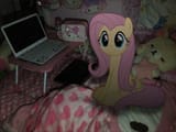Thread 42273459 OP Image