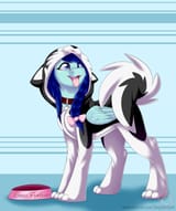 1347344__safe_artist-colon-pinktabico_oc_oc+only_oc-colon-snow+feather_husky_pegasus_pony_behaving+like+a+dog_bowl_clothes_collar_costume_cute_female_f