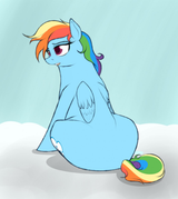 importantdashpicture2