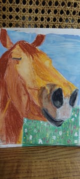 nares drawing-50%