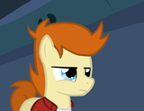 not_sure_if_pone