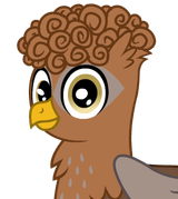 zoomer griffon