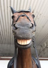 hehehe