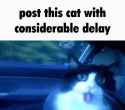 image_thumb.jpg