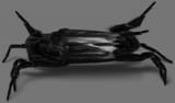 Thread 42279488 OP Image
