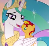 shimmy whimmy