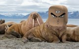 tienrus