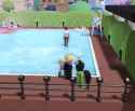 capture1-2025-06-19_11.21.58_thumb.jpg