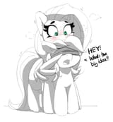 2563846