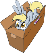 derpbox3