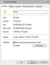 pony folder