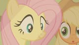 flutters appul