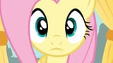 Flutters