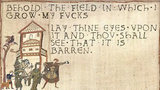 Field of Fucks