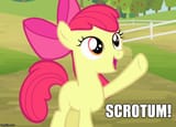 applebloom scrotum