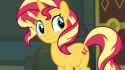 cute mare_thumb.jpg