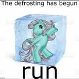 minty the defrosting has begun.jfif