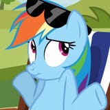 dash shrug
