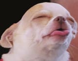 mfw