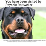 1636135161486