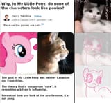 catponies