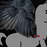 anim17