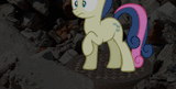 anim18