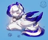 3607969__safe_artist-colon-peachmayflower_oc_oc+only_oc-colon-disk+graze_pegasus_pony_behaving+like+a+cat_bell_bell+collar_collar_colored+wings_colored+wingtips