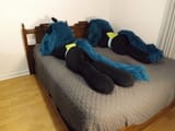 DSCF5572