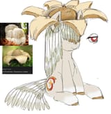 earthstar