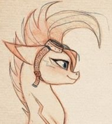 Dash Goggles