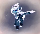silvery cat