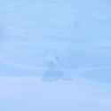 capture1-2025-06-25_23.45.56_thumb.jpg