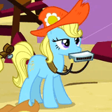 harmonica