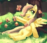 274211